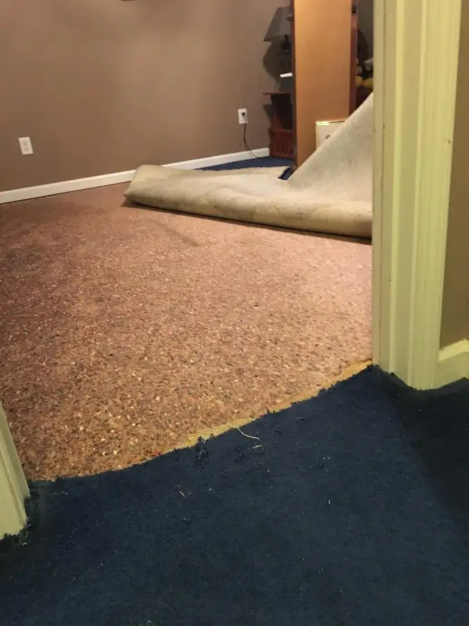Carpet pad removal revealing water damage during Water Mitigation Services in Coal