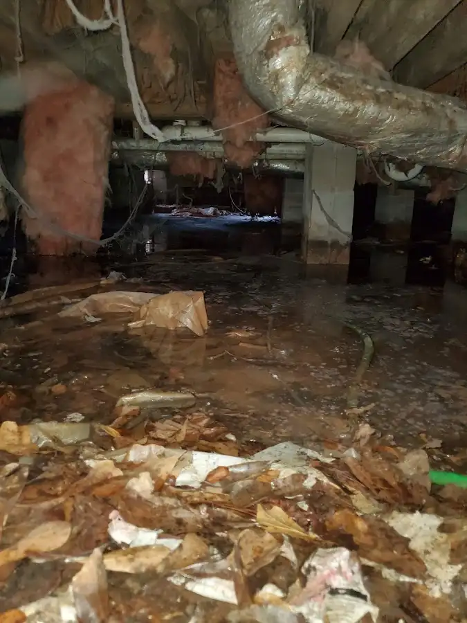 Crawl space flood assessment for Leak Detection & Repair in Coal
