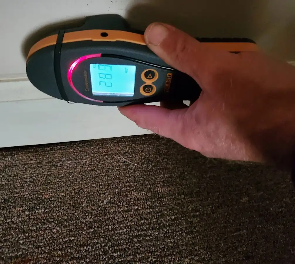 Moisture detection at baseboard during Sewage Cleanup & Sanitation in Coal